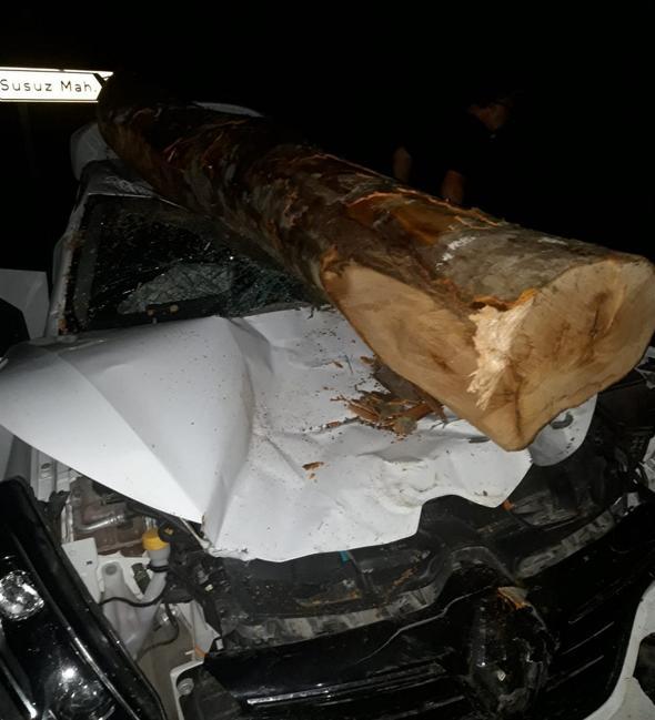 Otomobilin Ã¼zerine tomruk dÃ¼ÅtÃ¼: 3 yaralÄ±