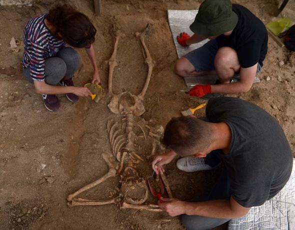 Sinopta arkeologlarÄ± ÅaÅÄ±rtan iskelet