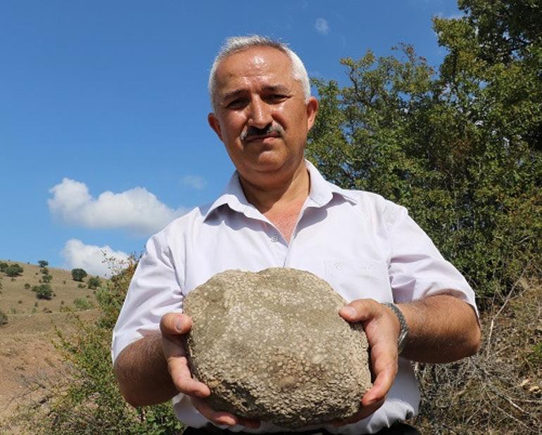 Sivas'ta Anadolu tarihini değiştirebilecek gelişme! Çoban tarafından bulundu, şimdi ise...