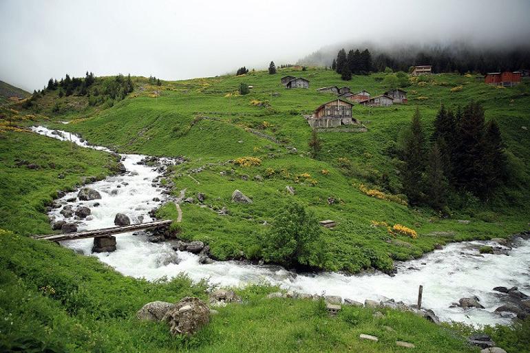 Turistlerin yeni gözdesi Elevit Yaylası