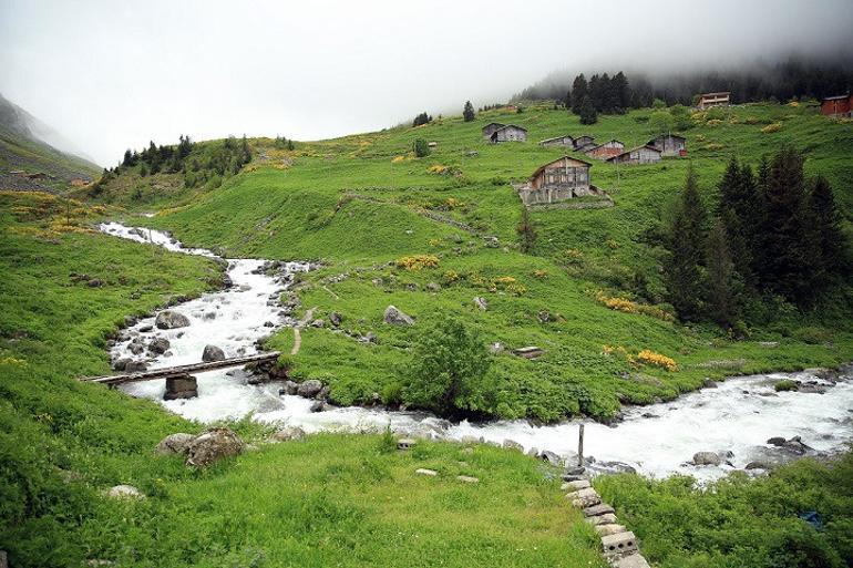 Turistlerin yeni gözdesi Elevit Yaylası